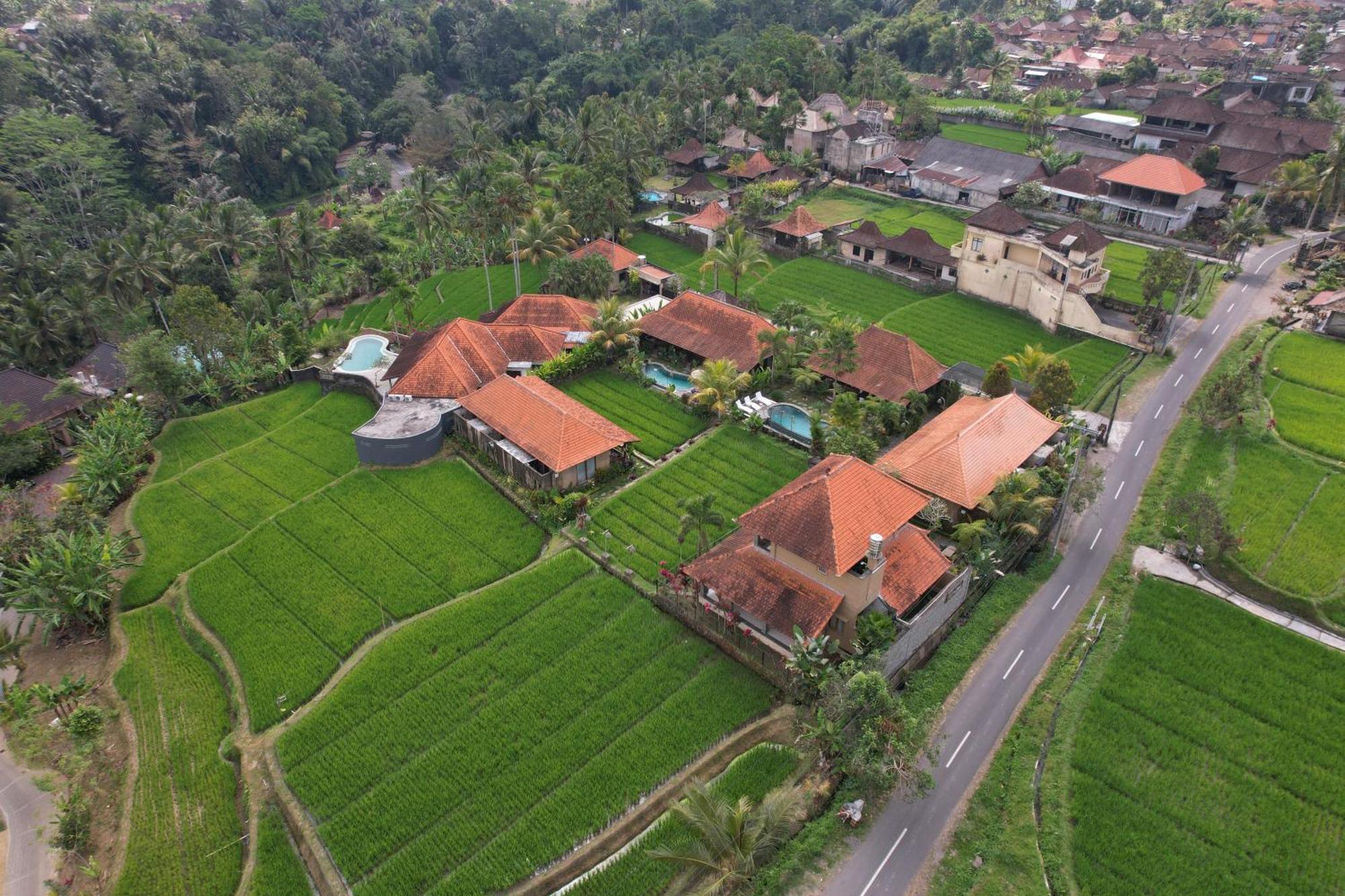 Umakelod Sebatu Villas Ubud Buitenkant foto