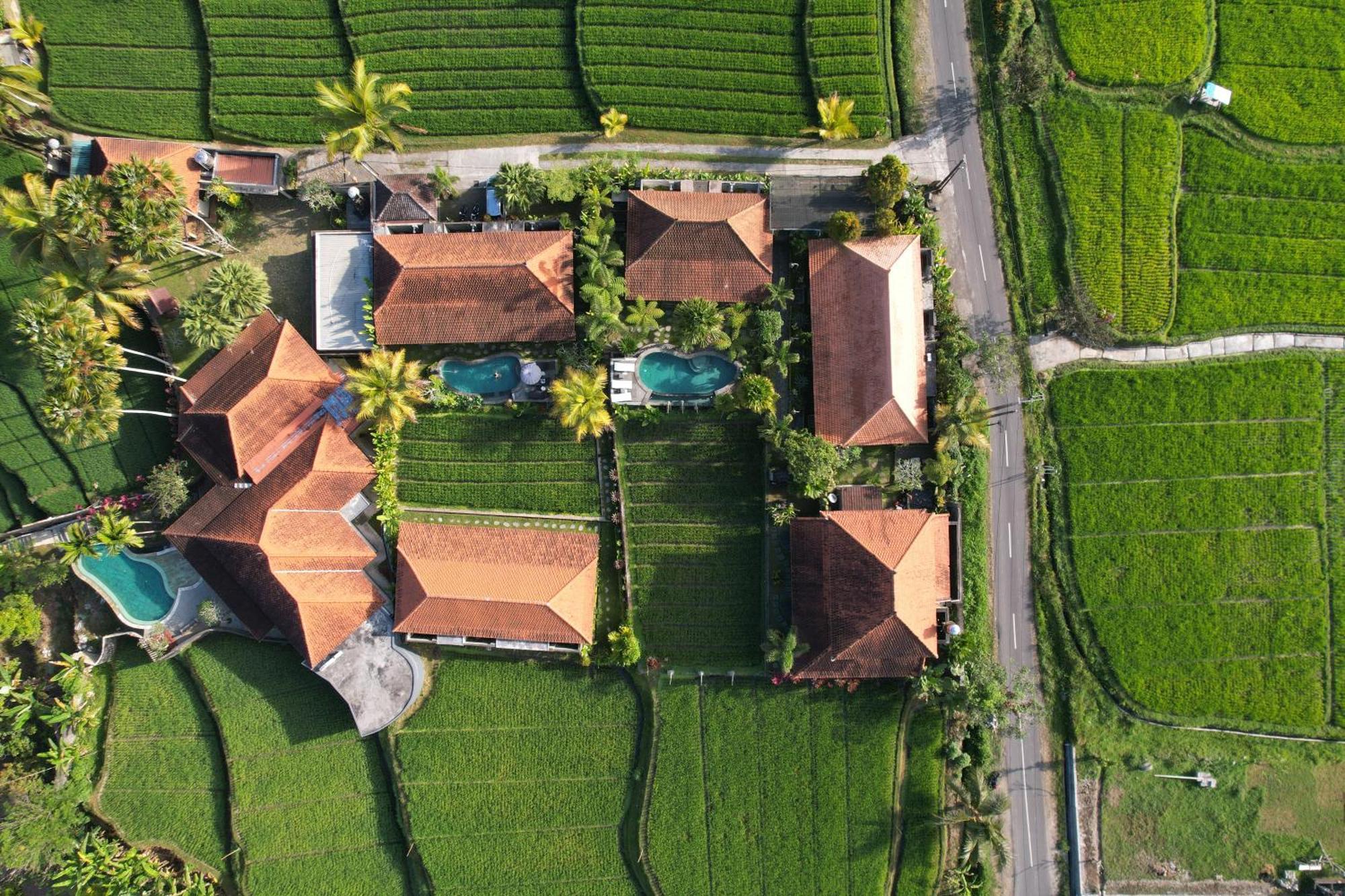 Umakelod Sebatu Villas Ubud Buitenkant foto